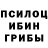 Псилоцибиновые грибы ЛСД anastasia_besh. vorona