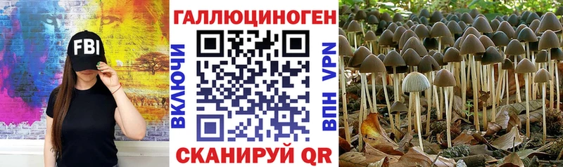 мега как зайти Щёлково Псилоцибиновые грибы GOLDEN TEACHER
